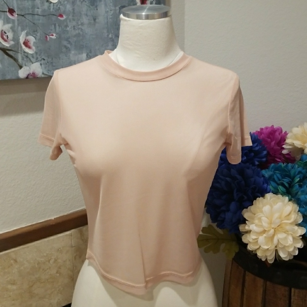 NWOT Nude sheer Akira Crop Top